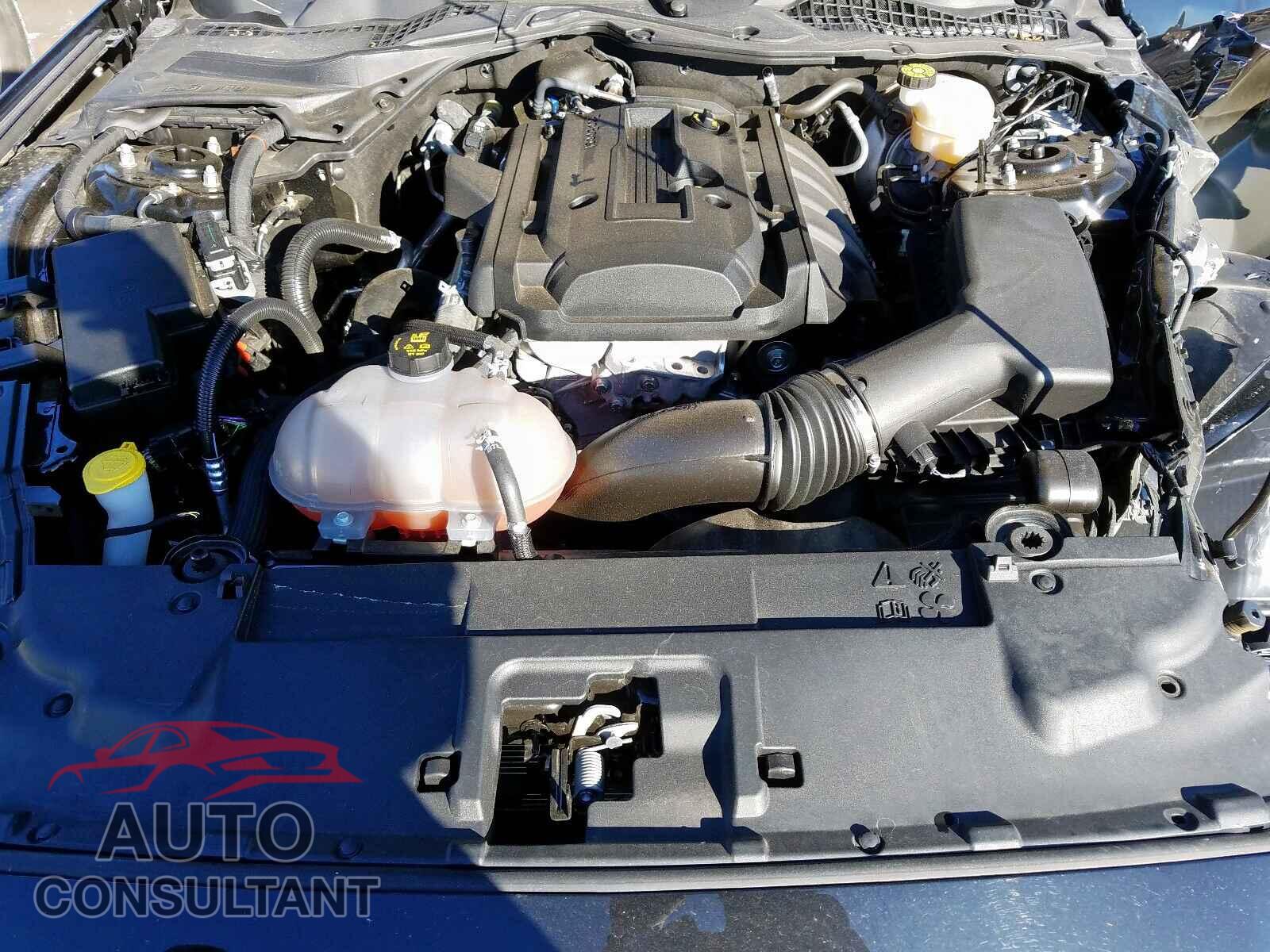 FORD MUSTANG 2019 - 1FA6P8TH4K5105481