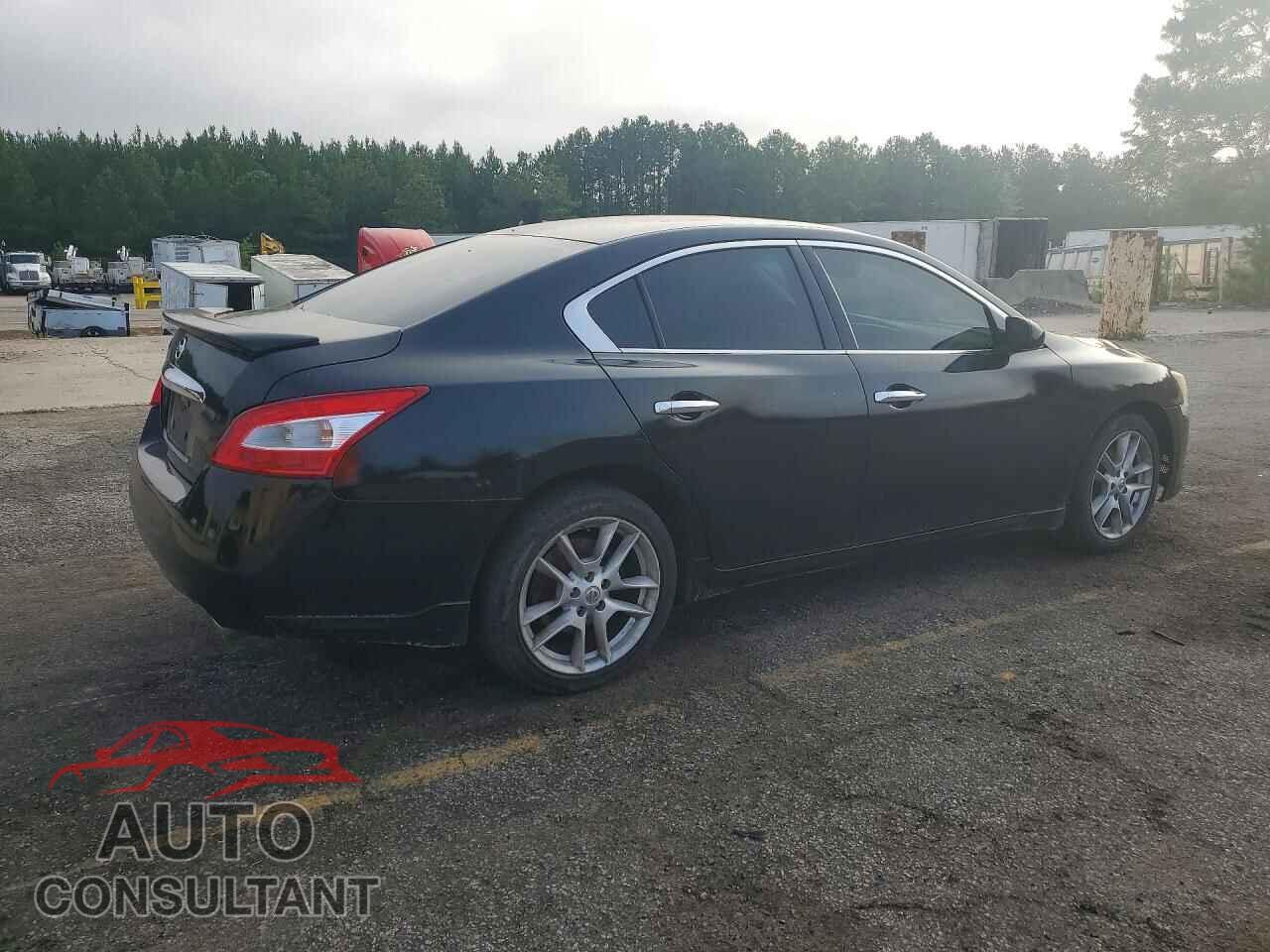 NISSAN MAXIMA 2011 - 1N4AA5AP1BC813008