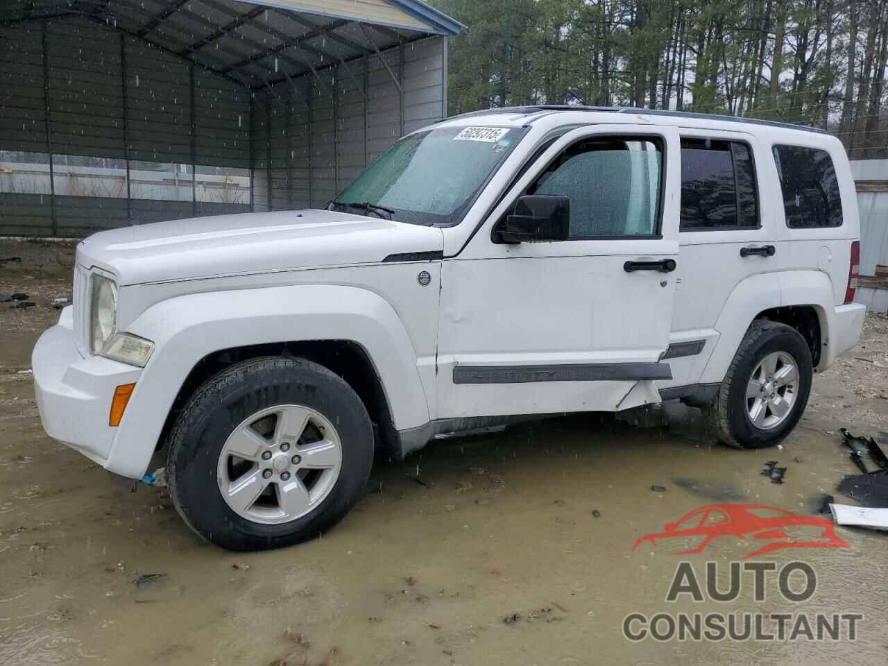 JEEP LIBERTY 2011 - 1J4PN2GK8BW538961