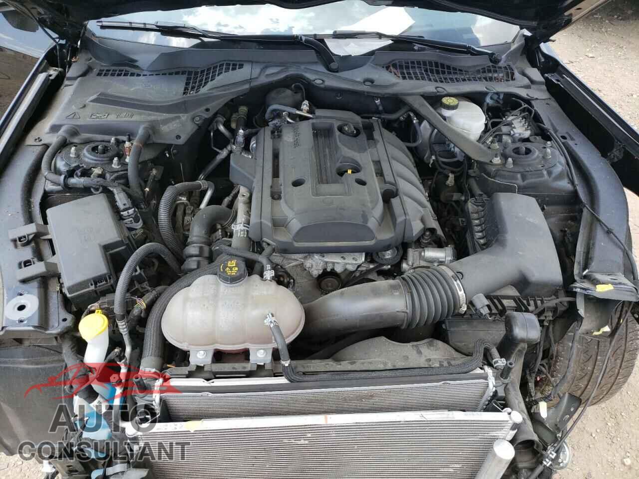 FORD MUSTANG 2019 - 1FATP8UH2K5117520