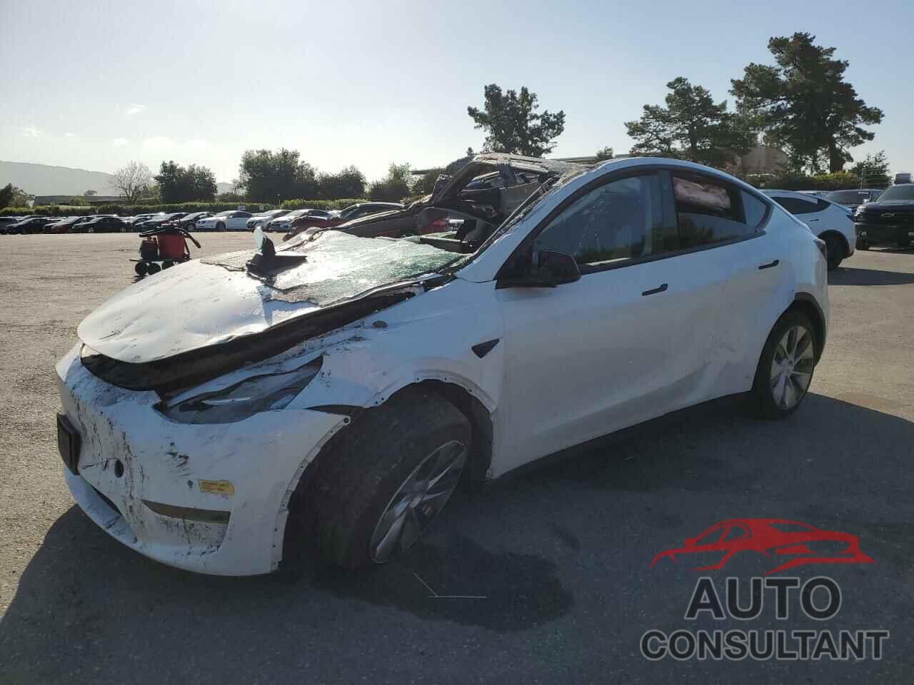 TESLA MODEL Y 2022 - 7SAYGDEE5NF437045