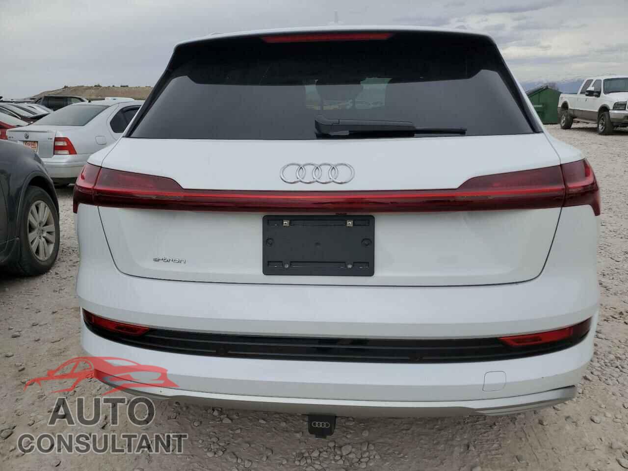 AUDI E-TRON 2019 - WA1VABGE9KB021981