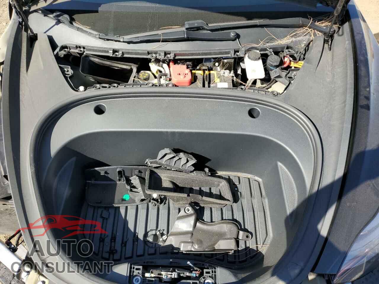 TESLA MODEL 3 2021 - 5YJ3E1EB7MF044860