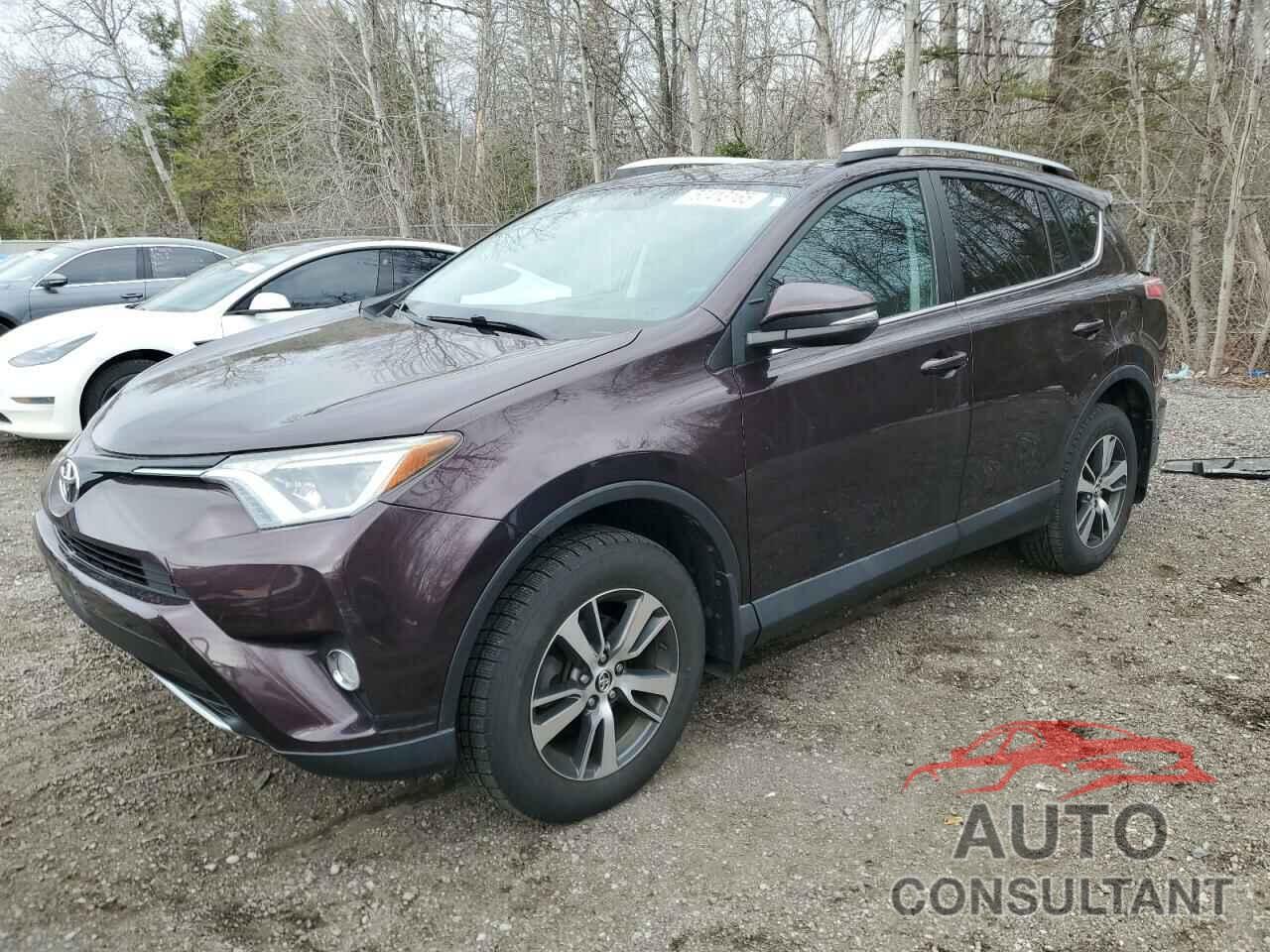 TOYOTA RAV4 2016 - 2T3RFREV8GW444831