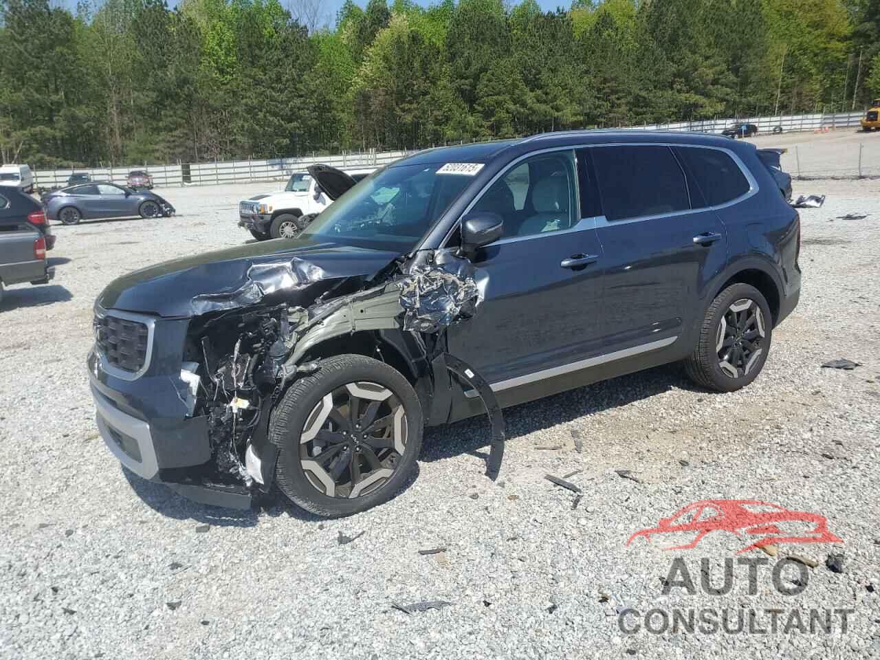 KIA TELLURIDE 2024 - 5XYP6DGC5RG437424