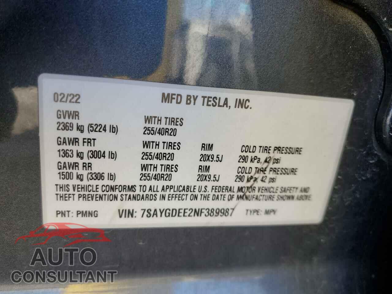 TESLA MODEL Y 2022 - 7SAYGDEE2NF389987