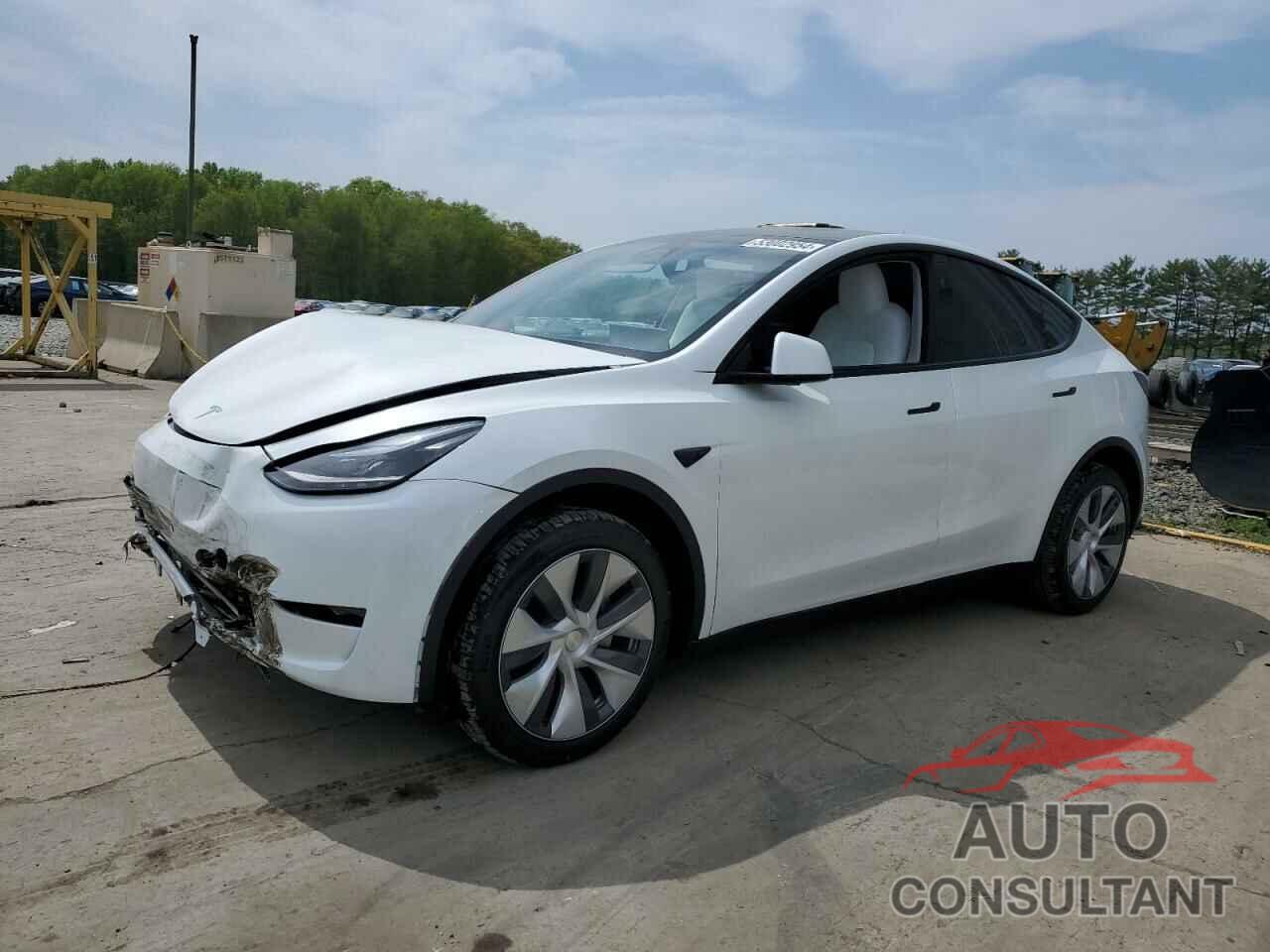 TESLA MODEL Y 2024 - 7SAYGDEEXRA245476