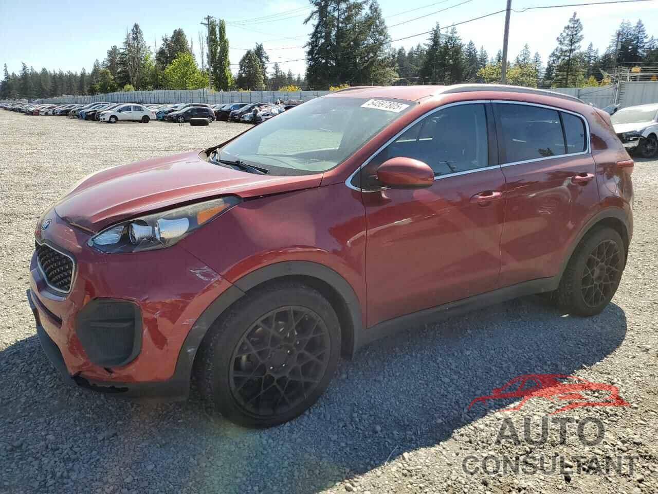 KIA SPORTAGE 2017 - KNDPM3AC4H7050075