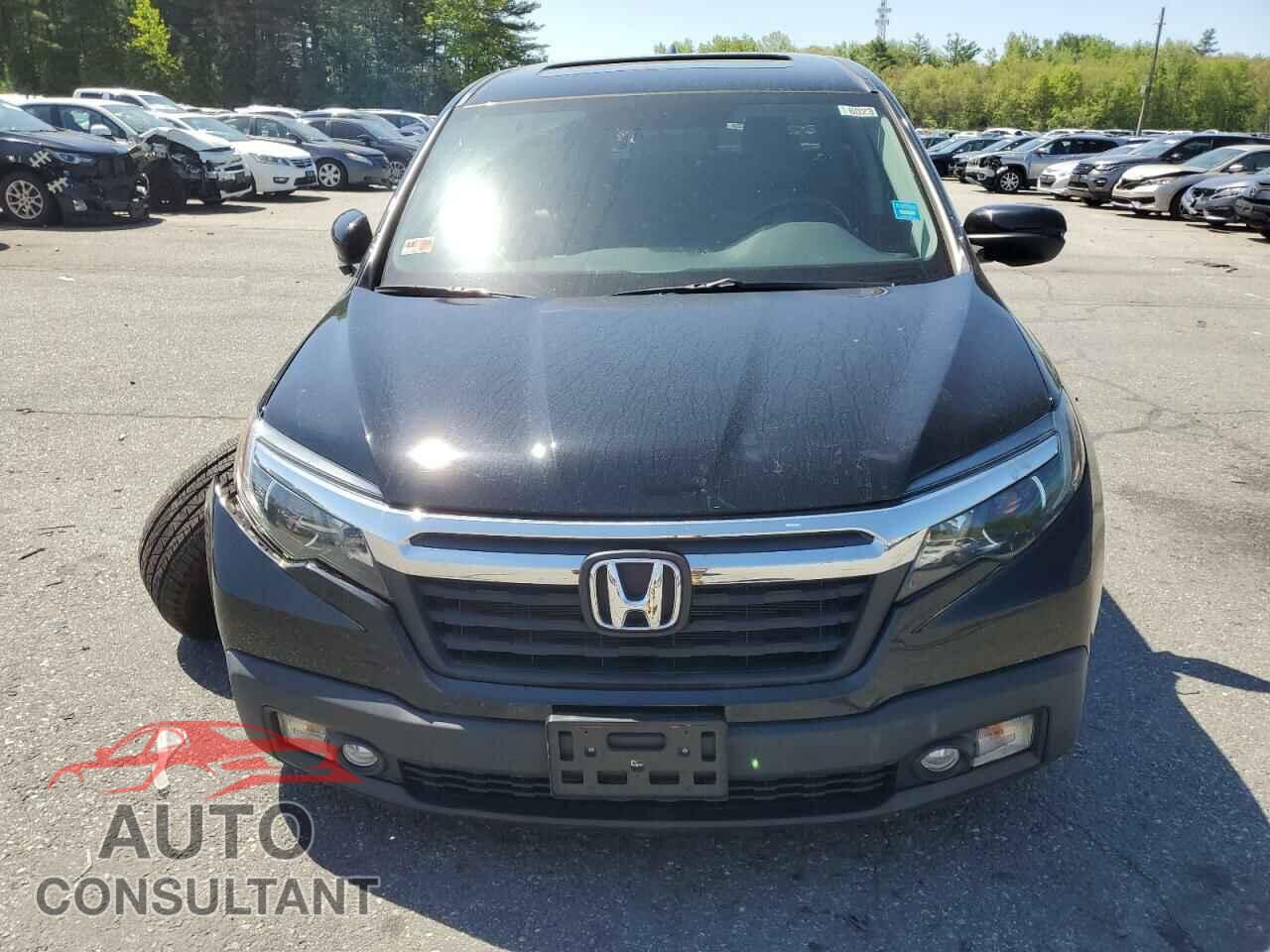 HONDA RIDGELINE 2019 - 5FPYK3F57KB046518