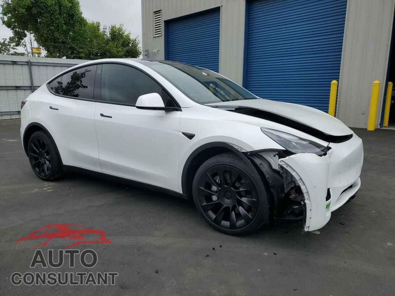 TESLA MODEL Y 2023 - 7SAYGDEEXPF744472