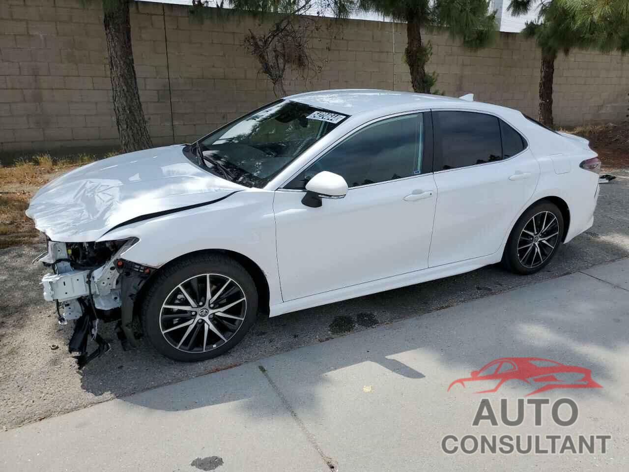 TOYOTA CAMRY 2023 - 4T1G31AK3PU616754