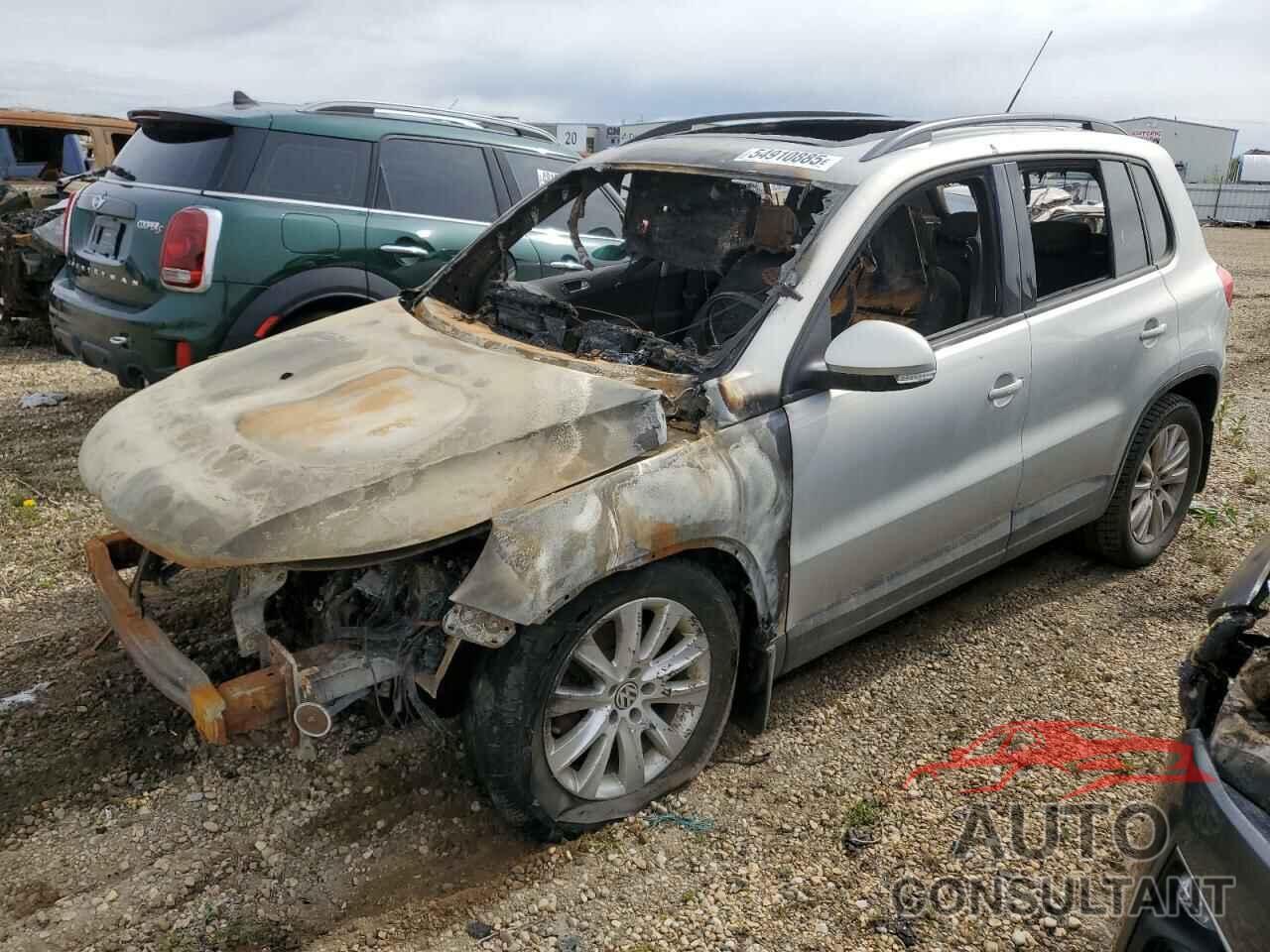 VOLKSWAGEN TIGUAN 2009 - WVGBV75N89W544498