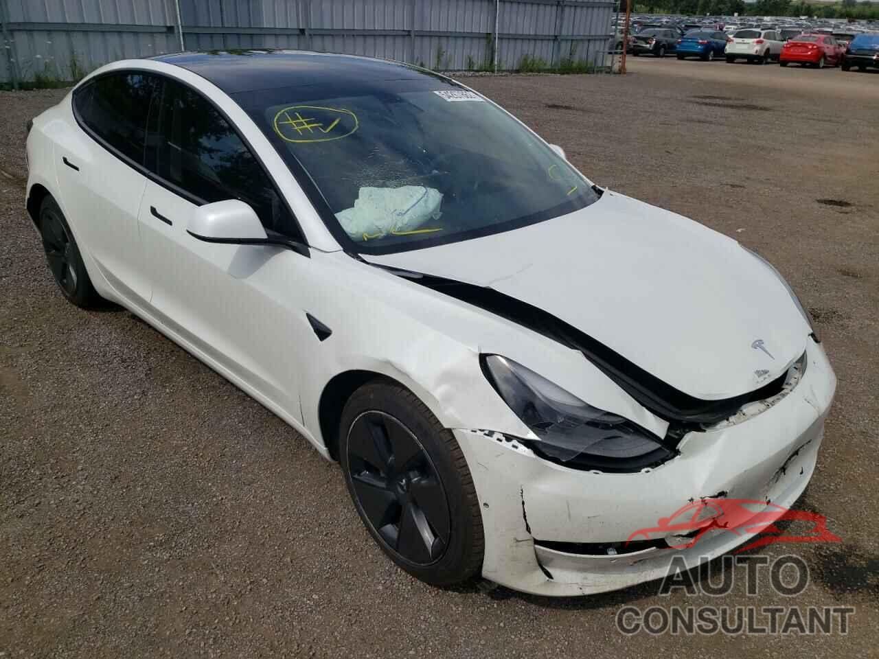 TESLA MODEL 3 2021 - 5YJ3E1EA8MF976542