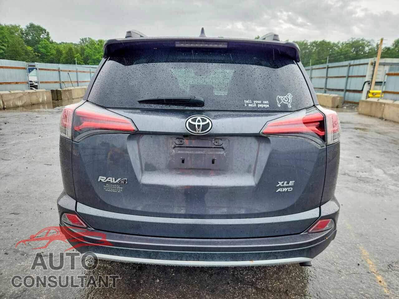TOYOTA RAV4 2016 - 2T3RFREV9GW439928