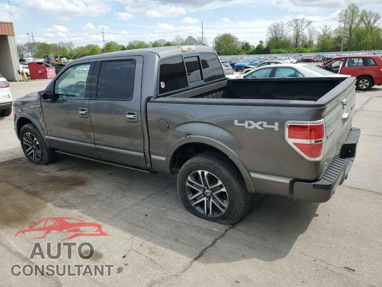 FORD F-150 2010 - 1FTFW1EV1AFB92899