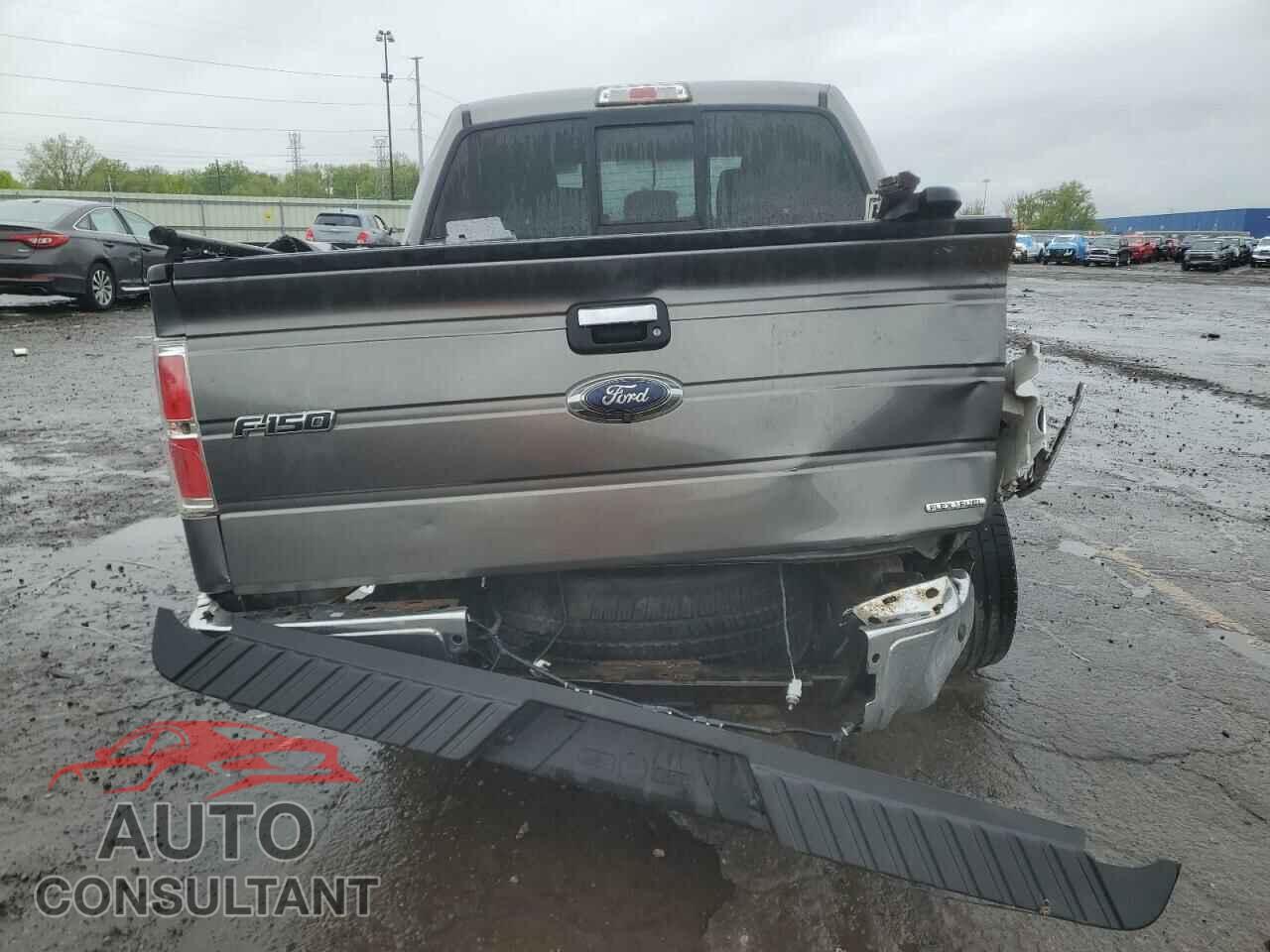 FORD F-150 2013 - 1FTFW1EF6DFD17103