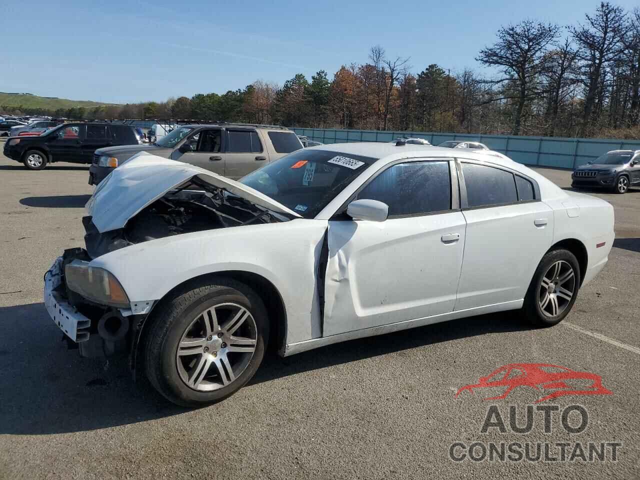 DODGE CHARGER 2013 - 2C3CDXAG3DH521581