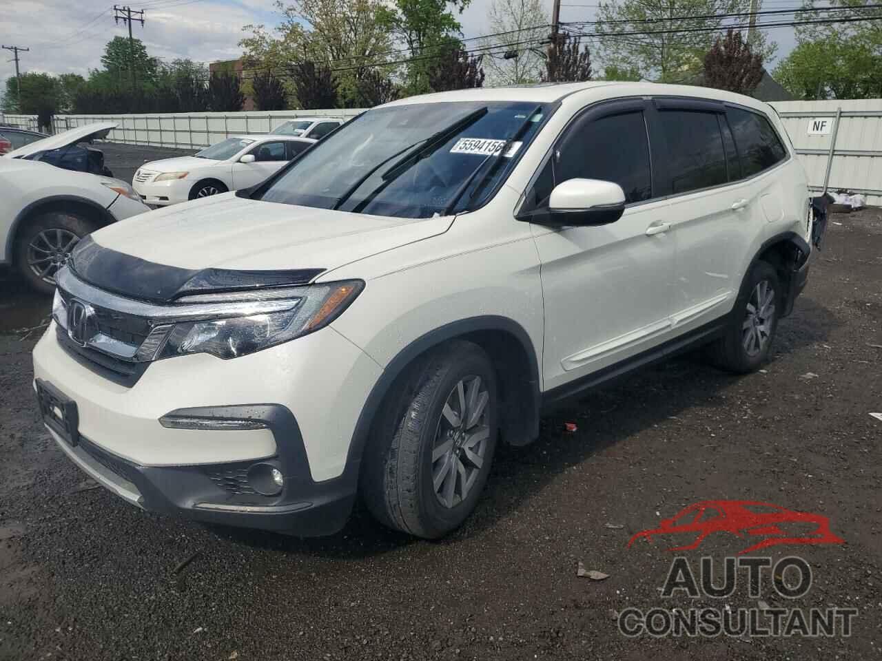 HONDA PILOT 2019 - 5FNYF6H59KB051490