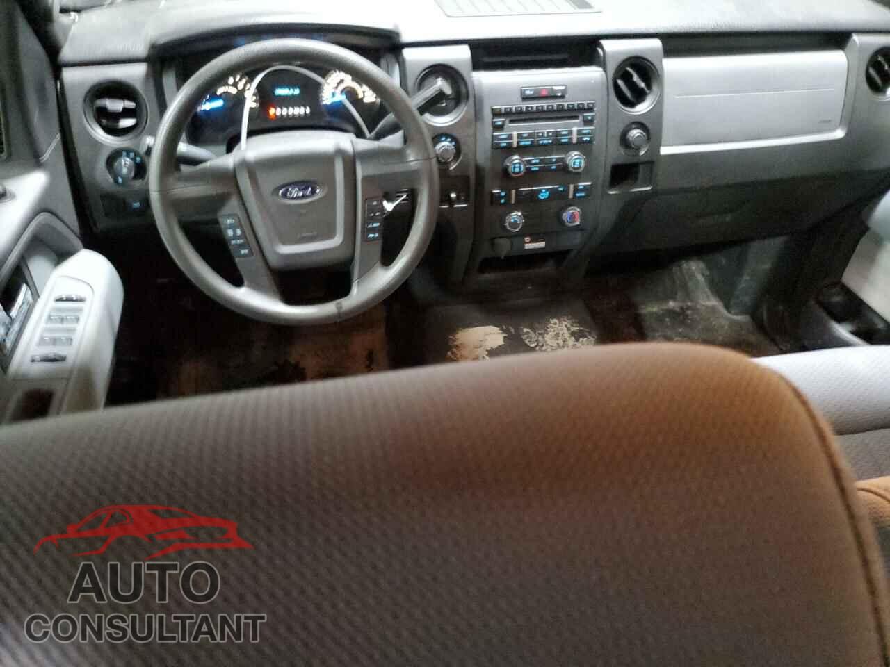 FORD F-150 2013 - 1FTFX1EF4DFD78768