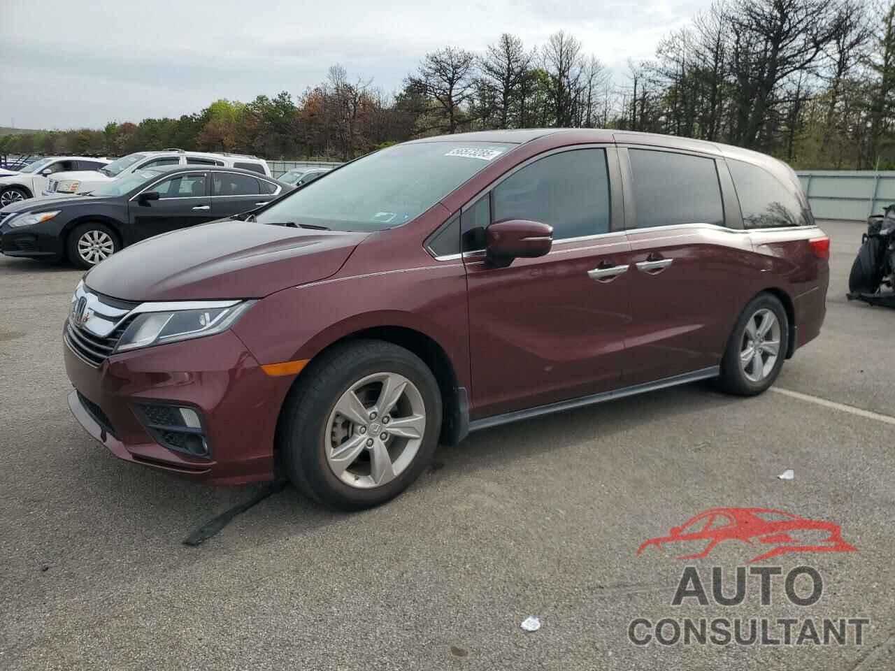 HONDA All Models 2019 - 5FNRL6H72KB044895