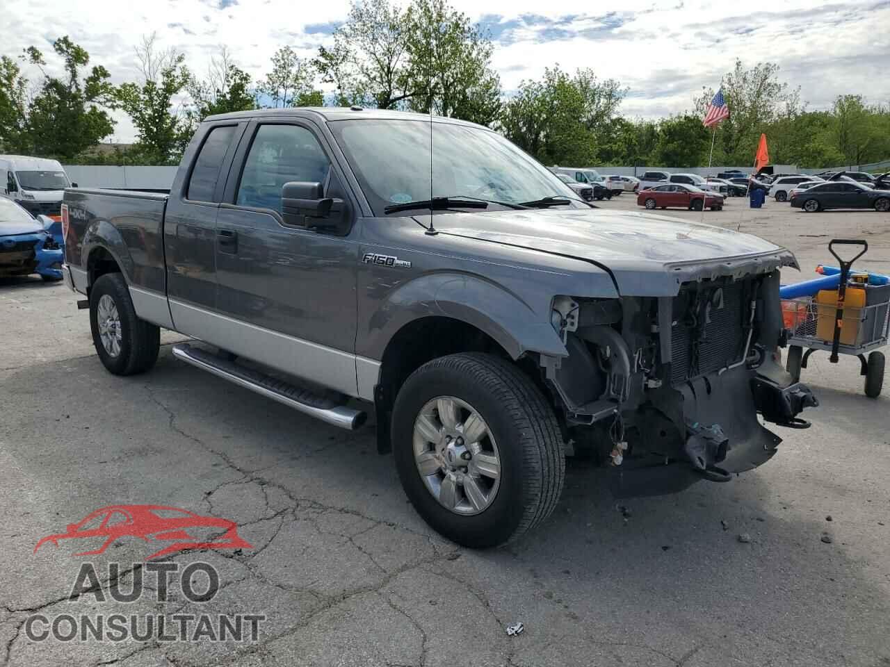 FORD F-150 2011 - 1FTFX1EF2BFA37852