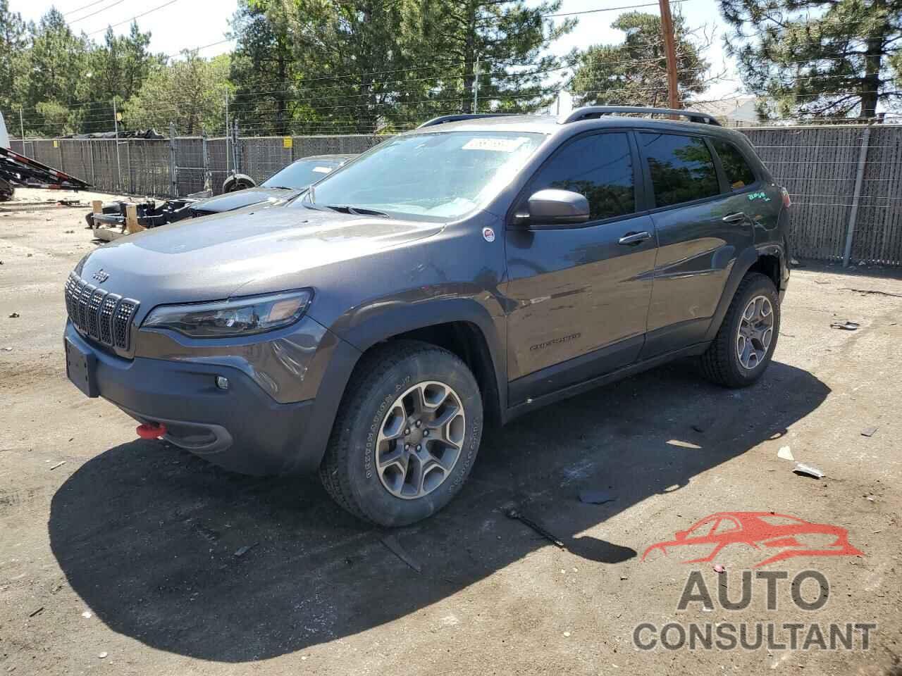 JEEP CHEROKEE 2020 - 1C4PJMBX1LD551046