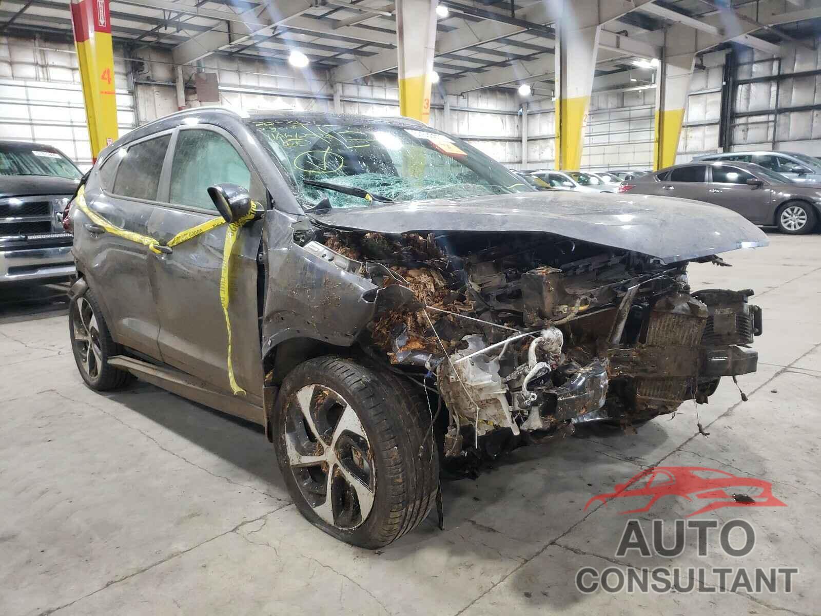 HYUNDAI TUCSON 2016 - KM8J33A25GU077006