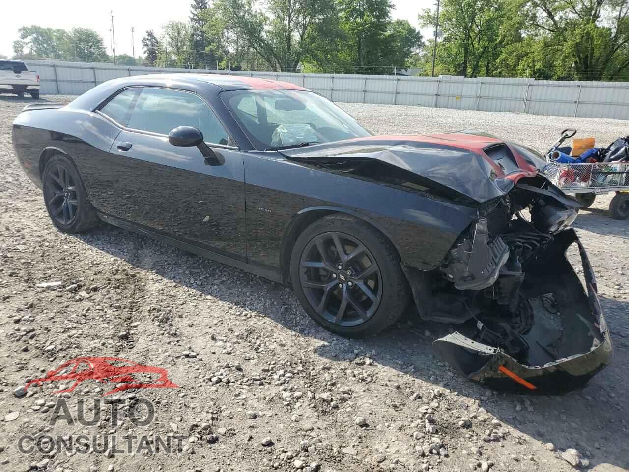 DODGE CHALLENGER 2019 - 2C3CDZBT9KH640742