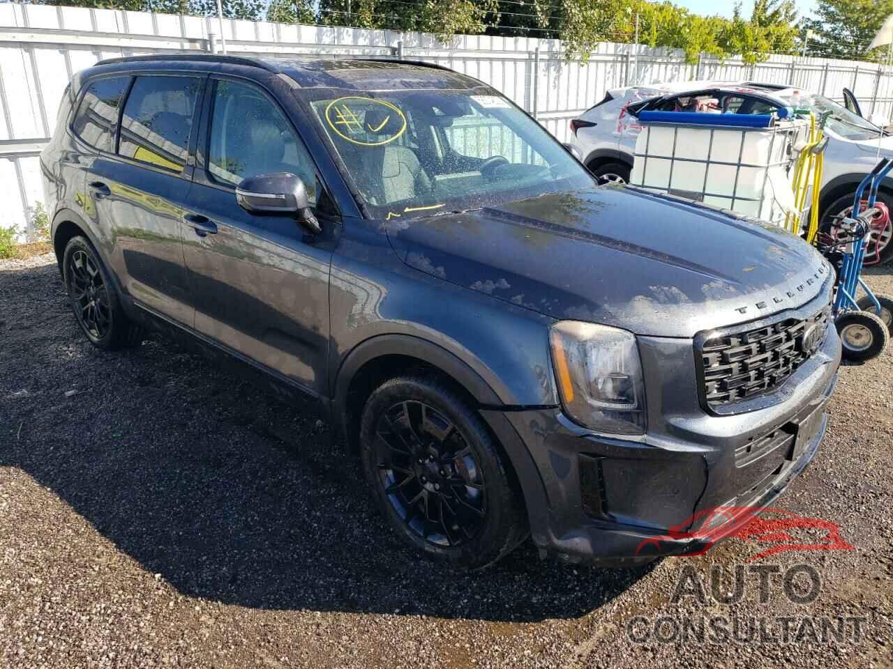 KIA TELLURIDE 2021 - 5XYP5DHC5MG129714