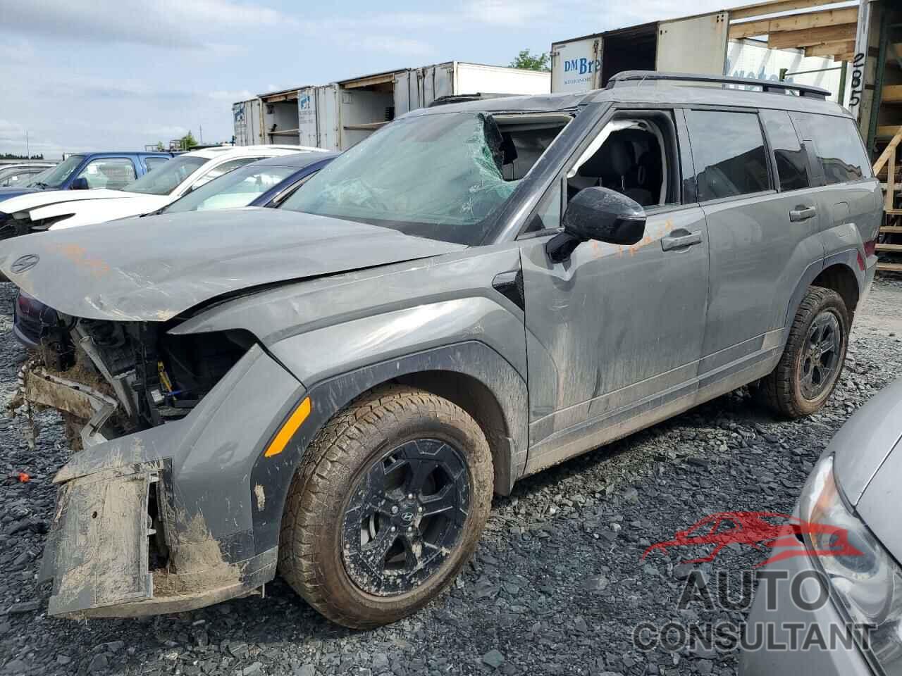 HYUNDAI SANTA FE 2024 - 5NMP3DGL9RH036313