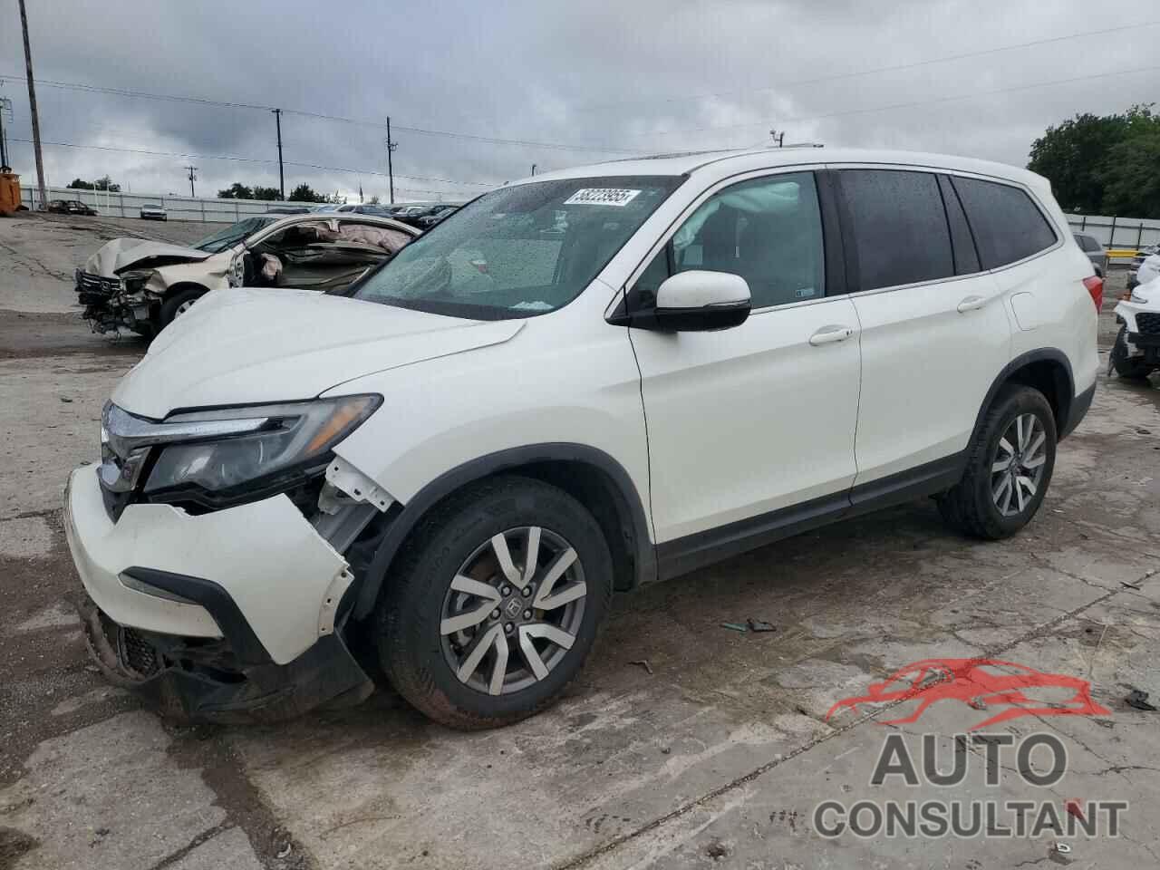 HONDA PILOT 2019 - 5FNYF6H55KB015313
