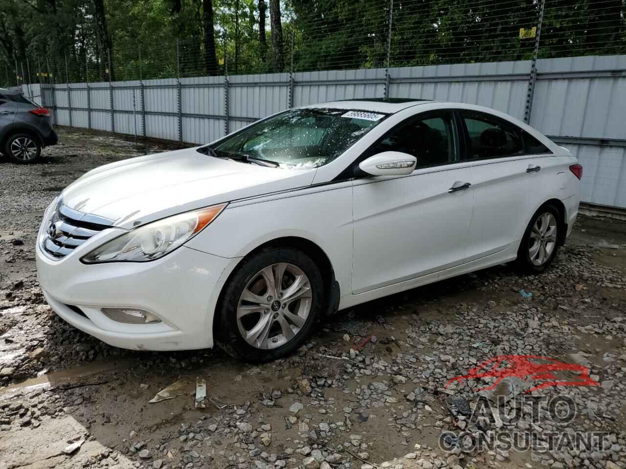 HYUNDAI SONATA 2011 - 5NPEC4ABXBH308769