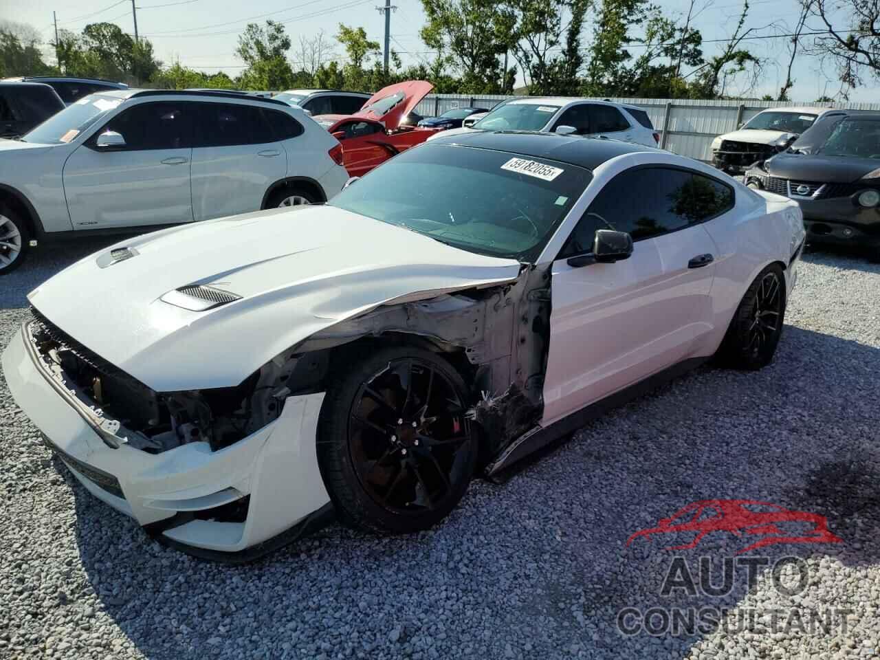 FORD MUSTANG 2019 - 1FA6P8CF3K5101842