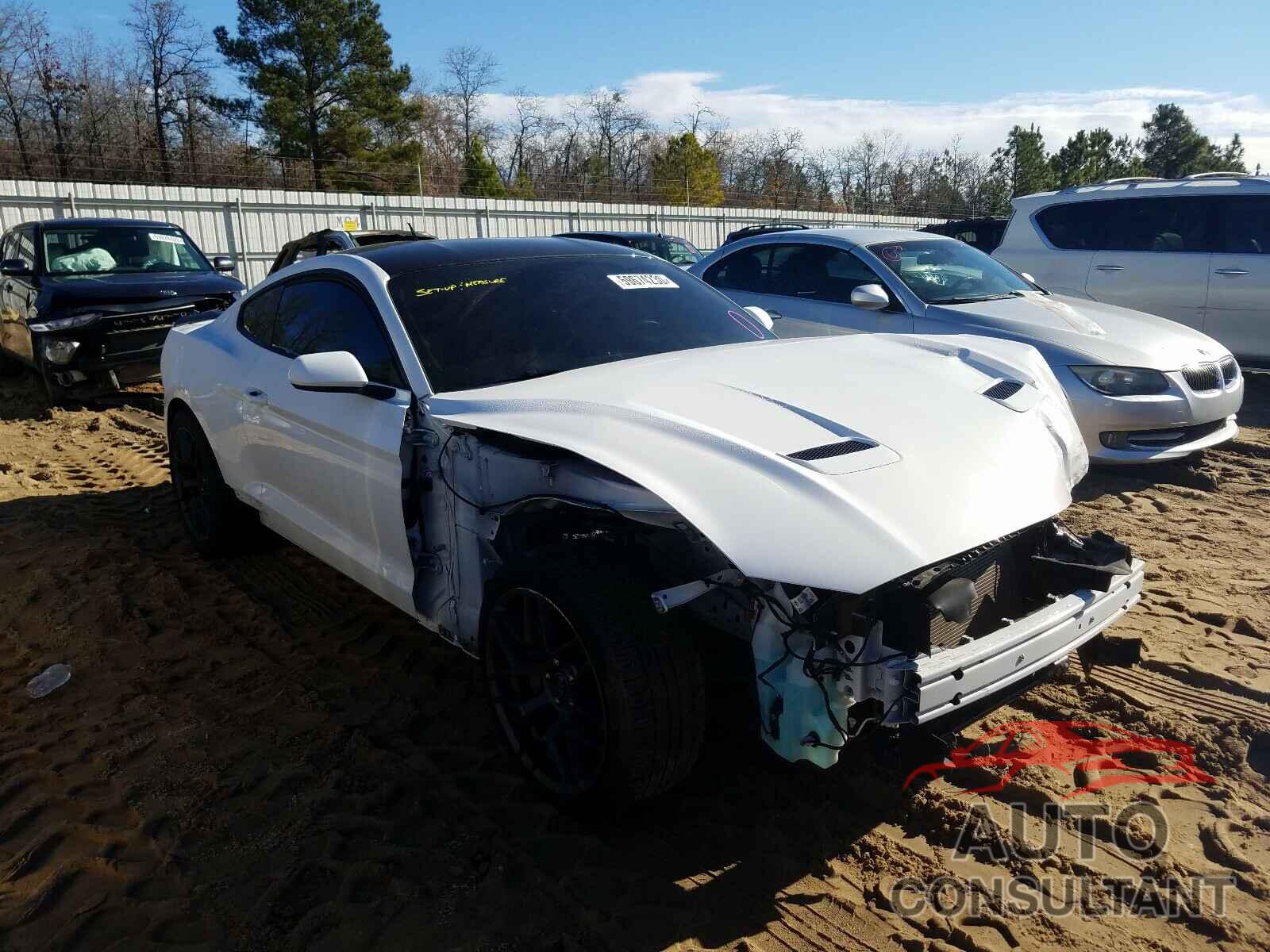 FORD MUSTANG 2019 - 1FA6P8CF6K5124239