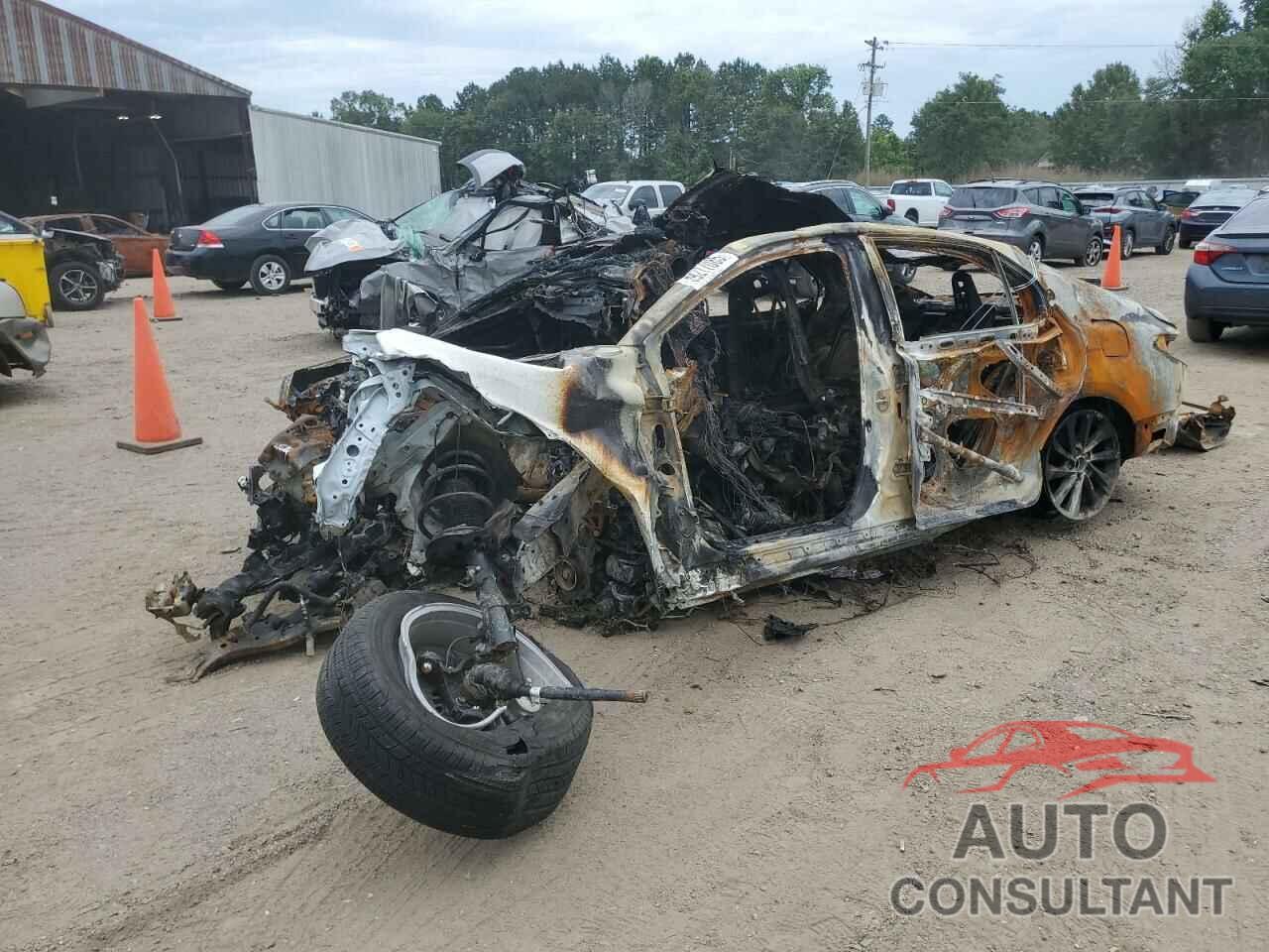 TOYOTA CAMRY 2024 - 4T1C11AK8RU218690