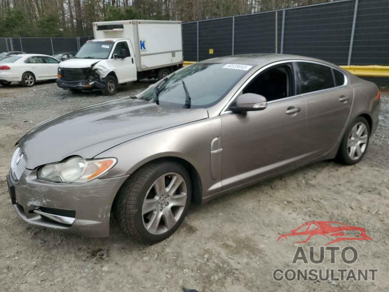 JAGUAR XF 2009 - SAJWA05B49HR04841
