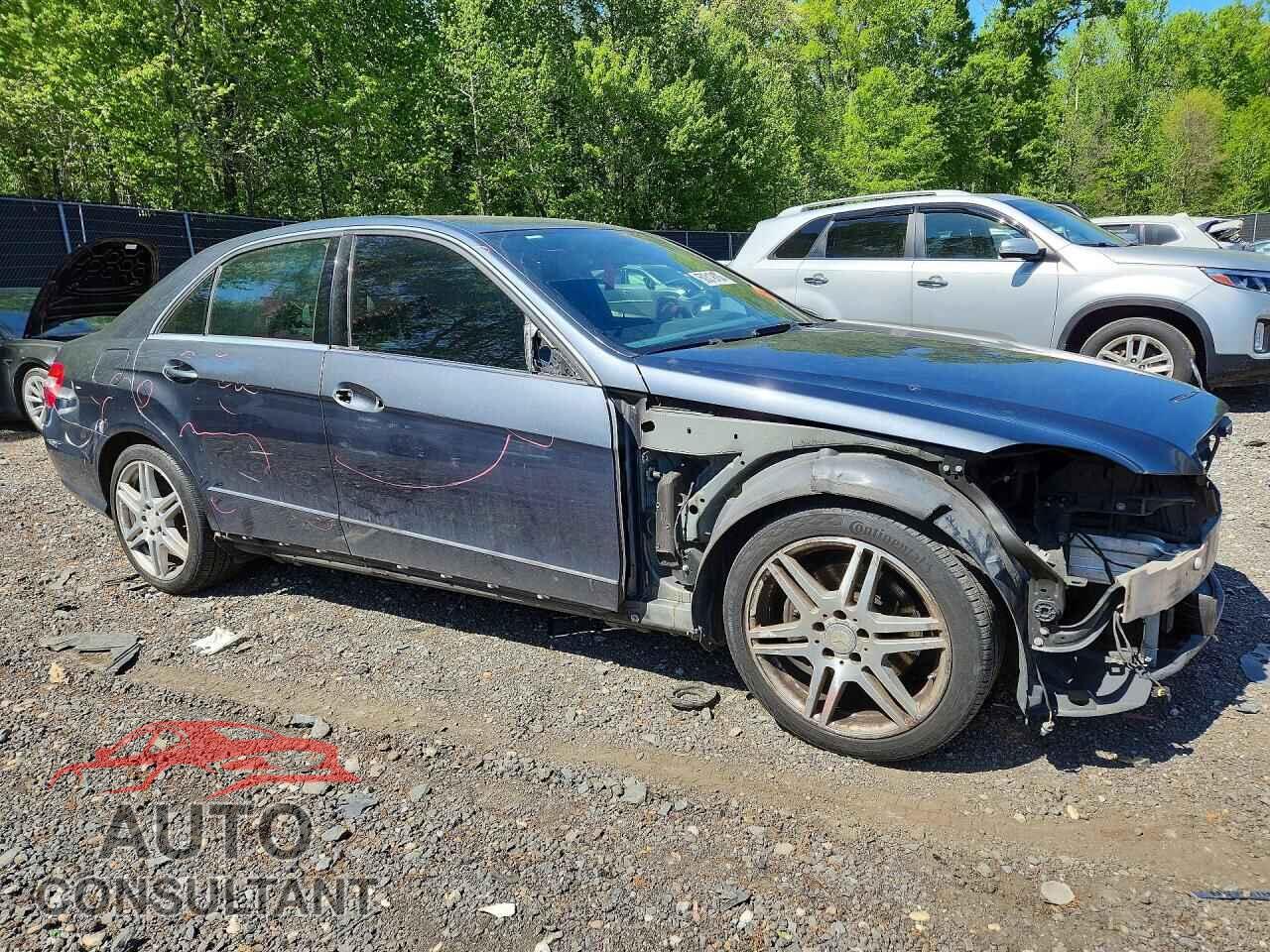 MERCEDES-BENZ E-CLASS 2010 - WDDHF8HB5AA054210