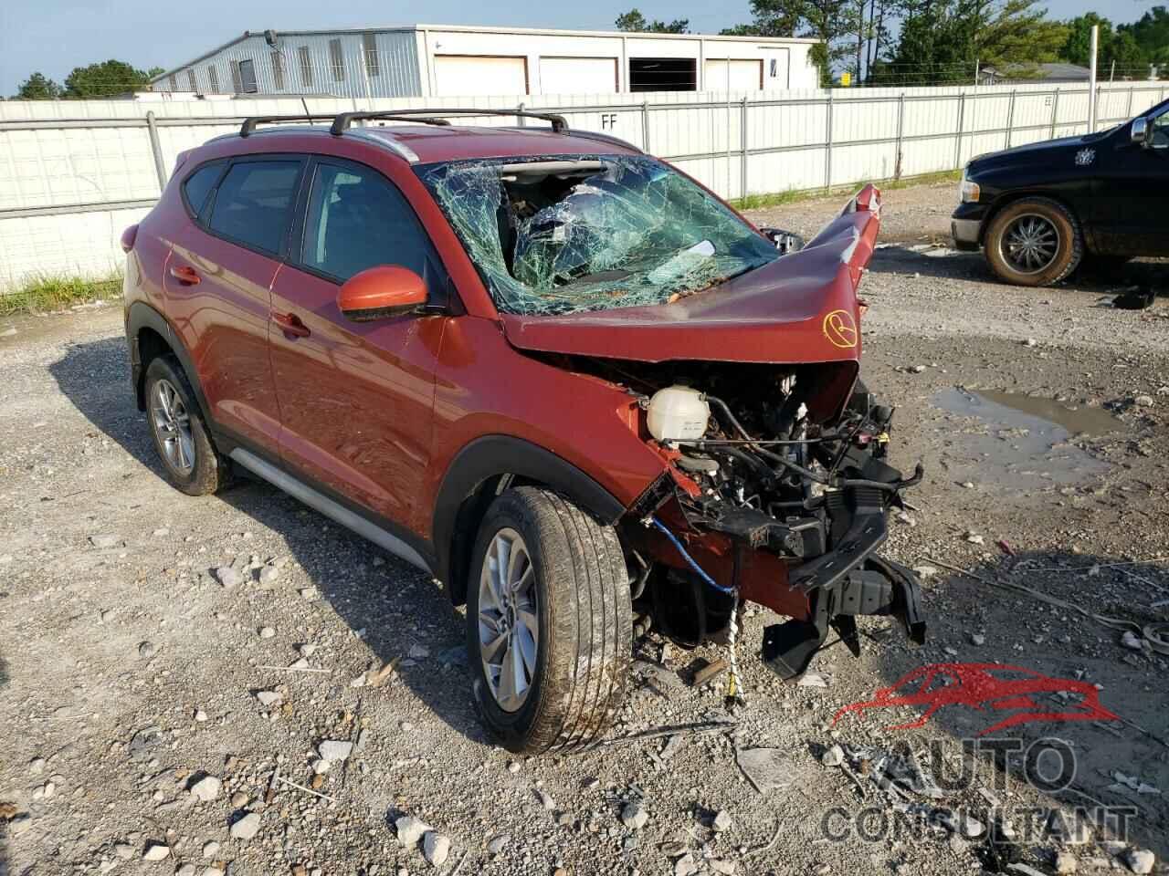 HYUNDAI TUCSON 2017 - KM8J33A46HU520928