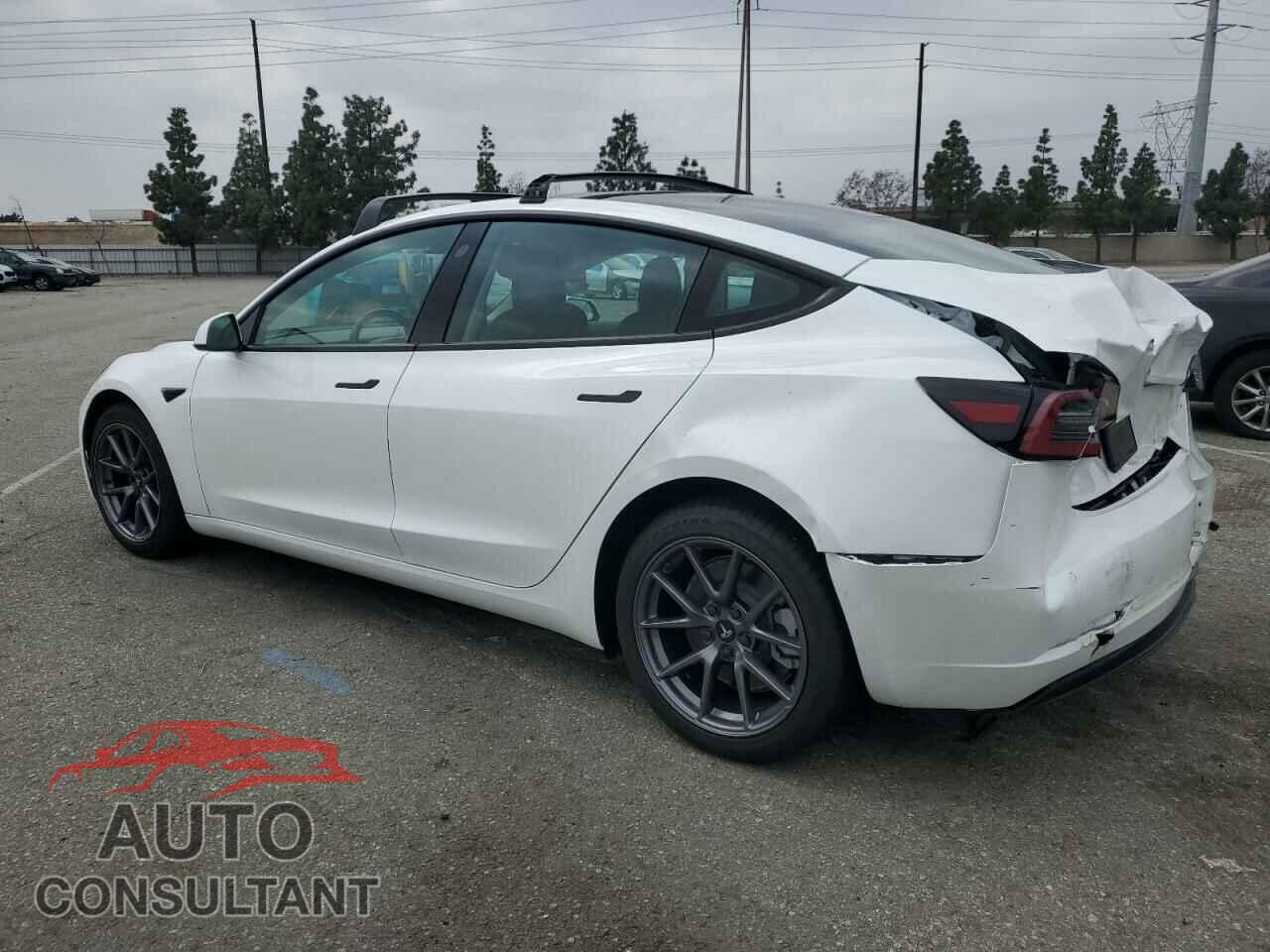 TESLA MODEL 3 2021 - 5YJ3E1EA7MF087909