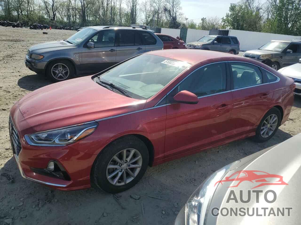 HYUNDAI SONATA 2019 - 5NPE24AF1KH801648