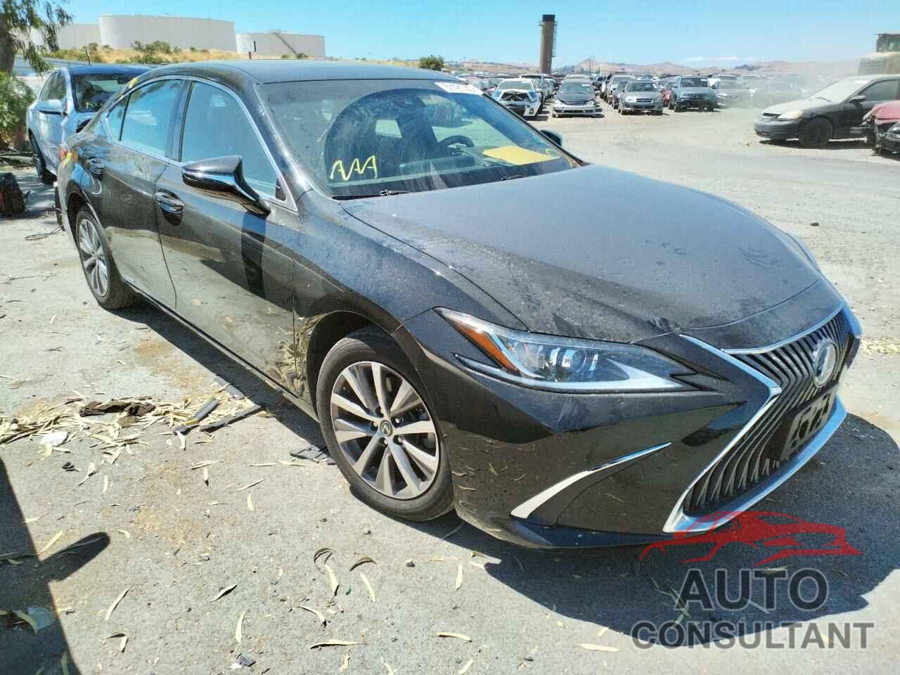 LEXUS ES300 2020 - 58AD21B18LU005519