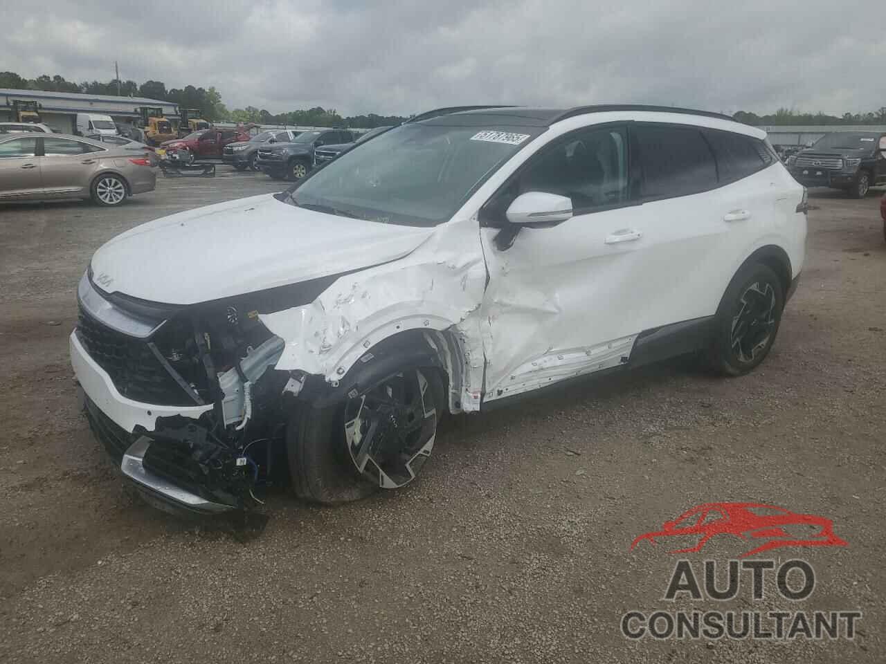 KIA SPORTAGE 2024 - 5XYK53DFXRG217976