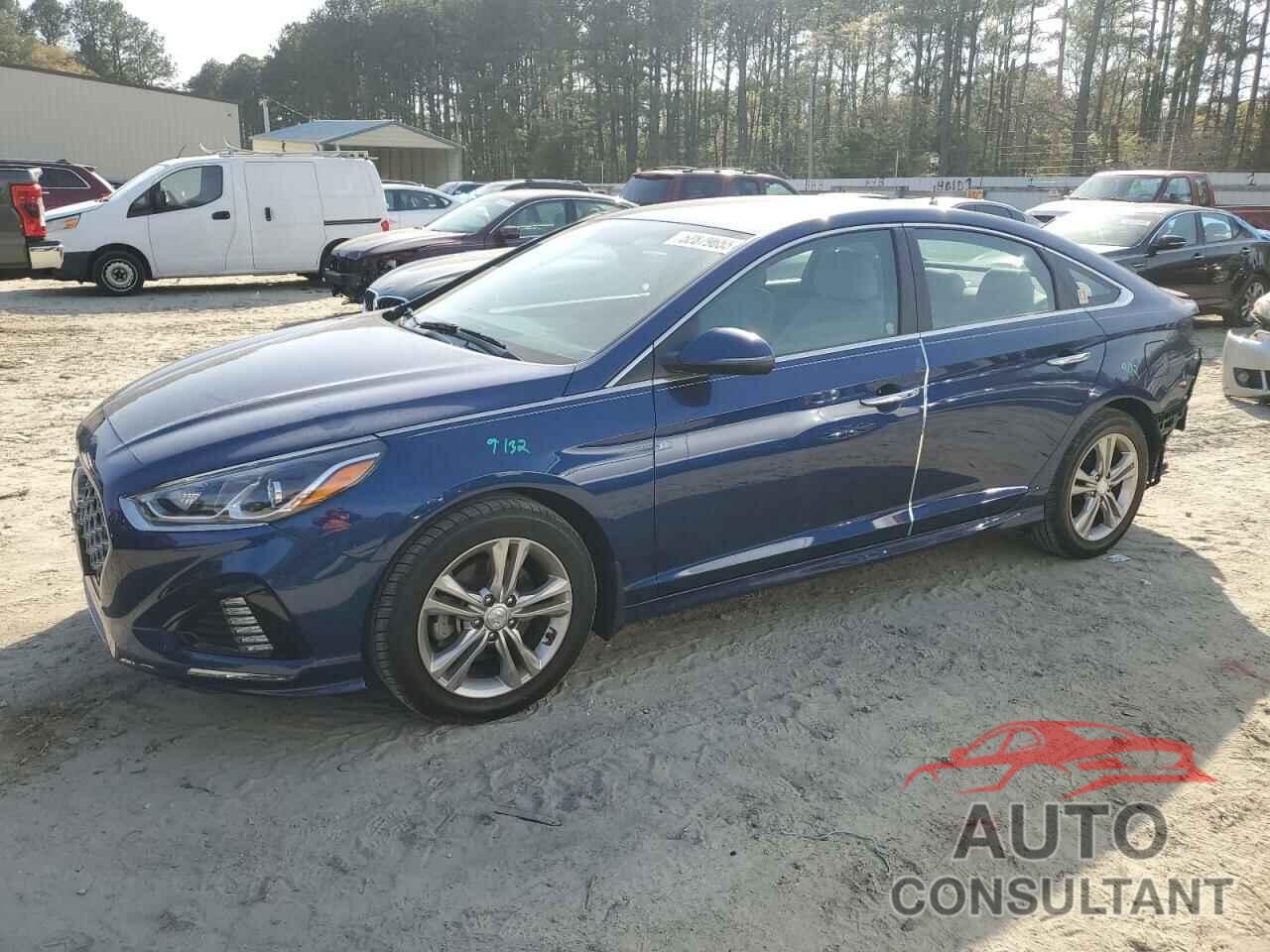 HYUNDAI SONATA 2019 - 5NPE34AF4KH738087
