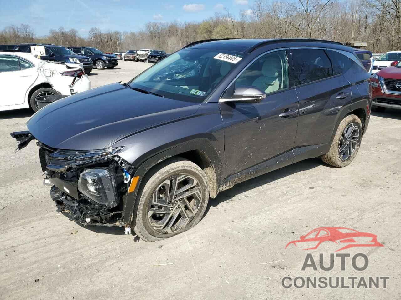 HYUNDAI TUCSON 2025 - KM8JEDD18SU287529