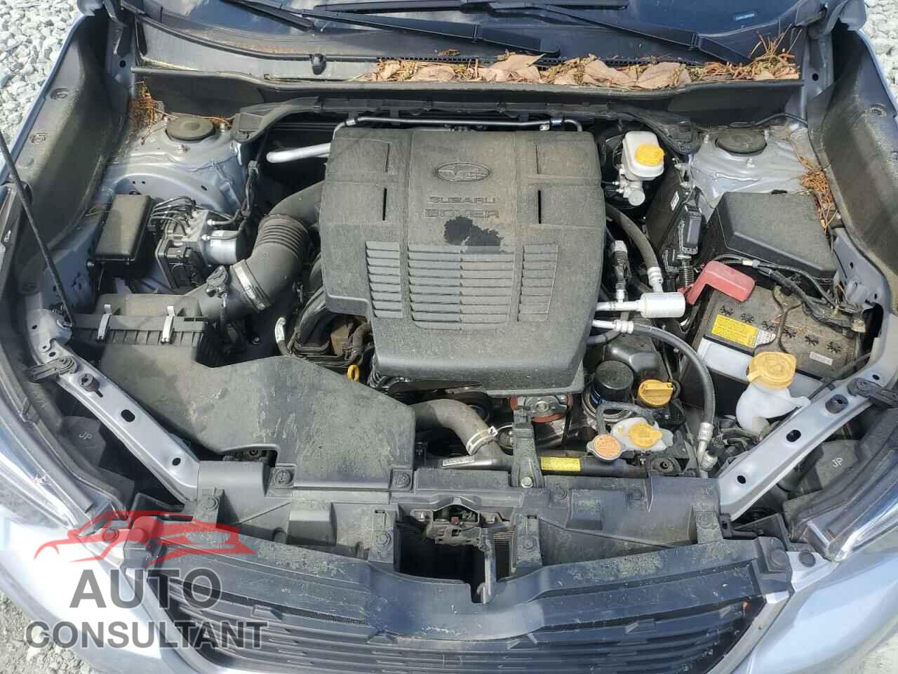 SUBARU FORESTER 2021 - JF2SKAJC7MH492892