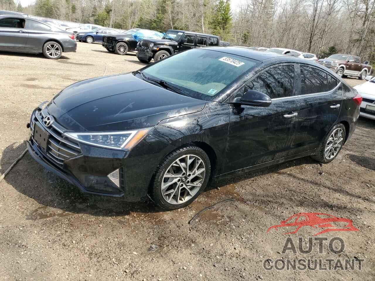 HYUNDAI ELANTRA 2020 - KMHD84LF8LU086491