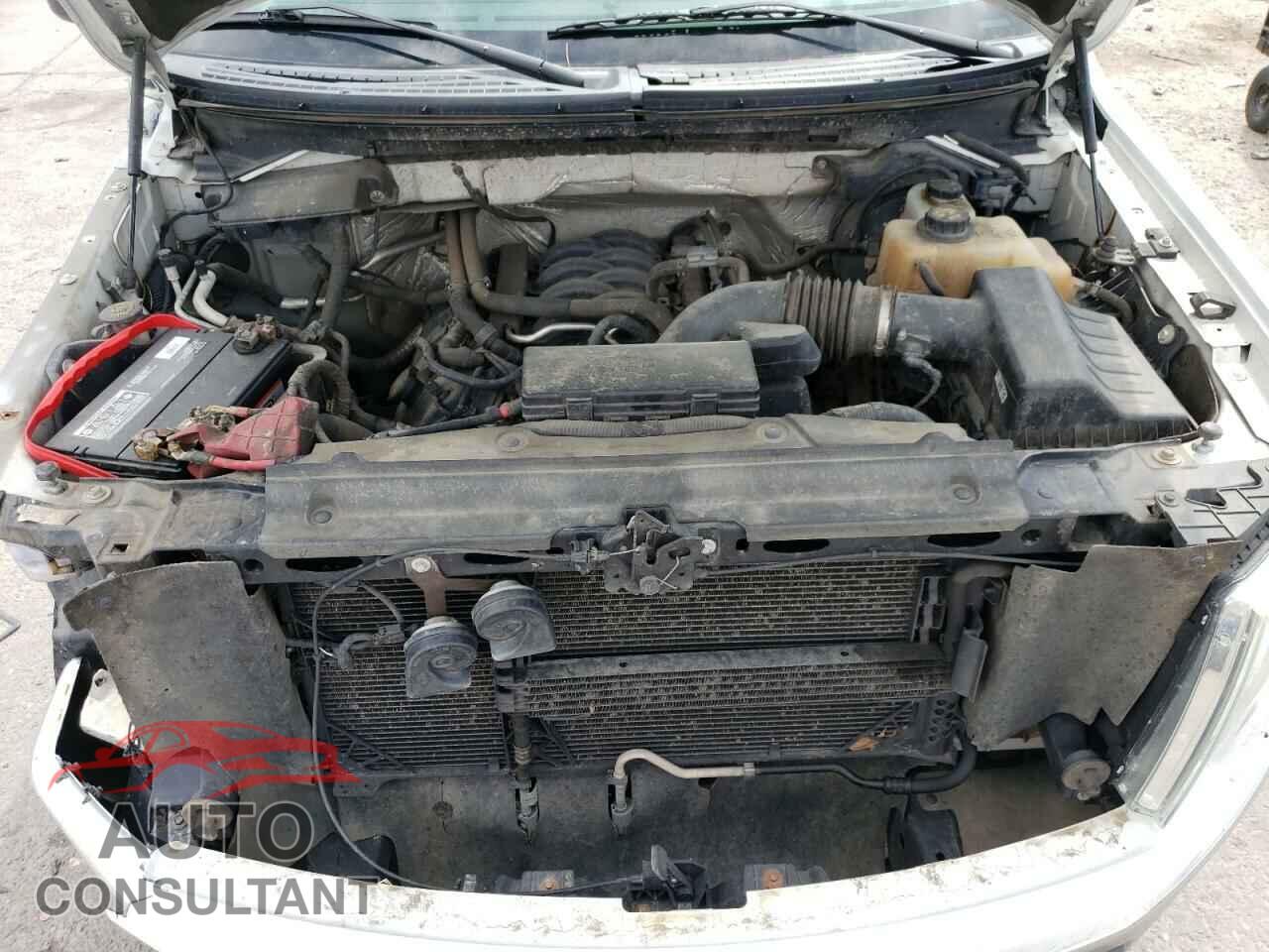 FORD F-150 2012 - 1FTFX1EF8CFA01181