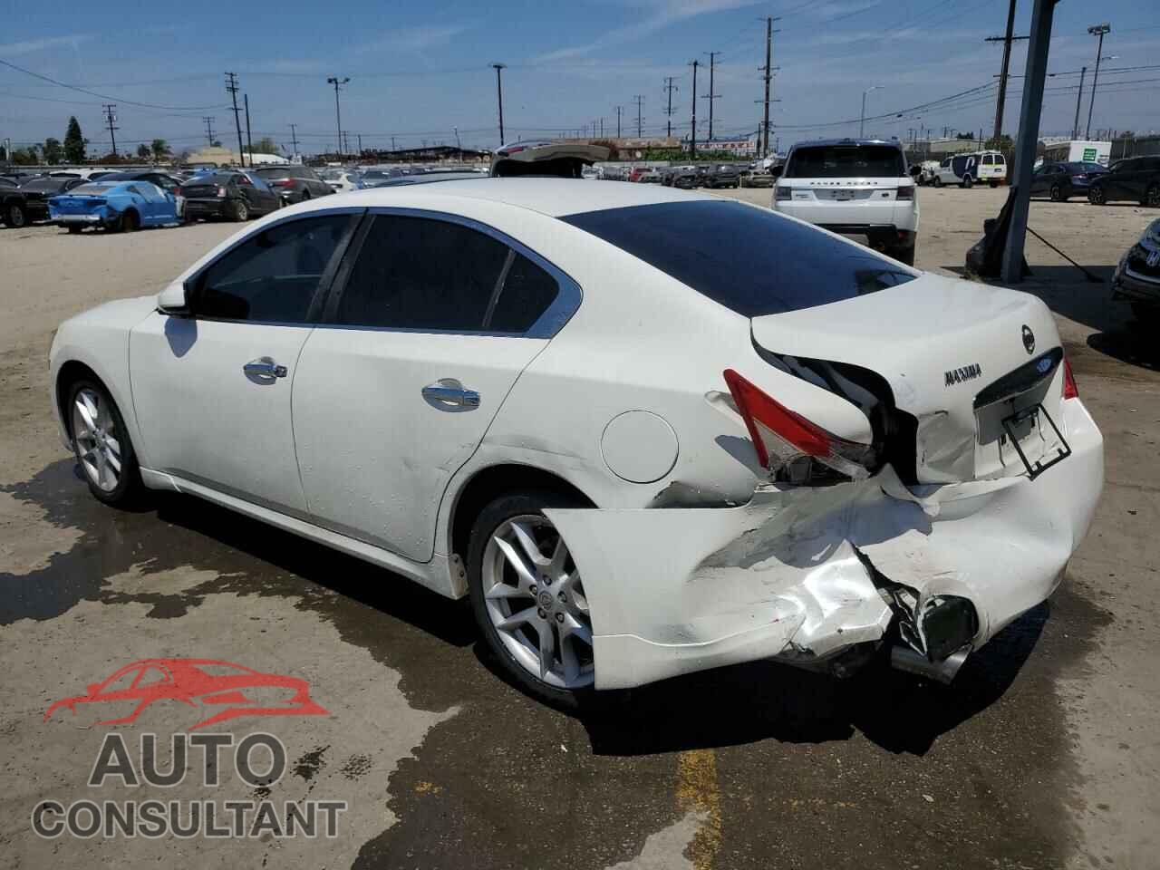 NISSAN MAXIMA 2009 - 1N4AA51E09C807791