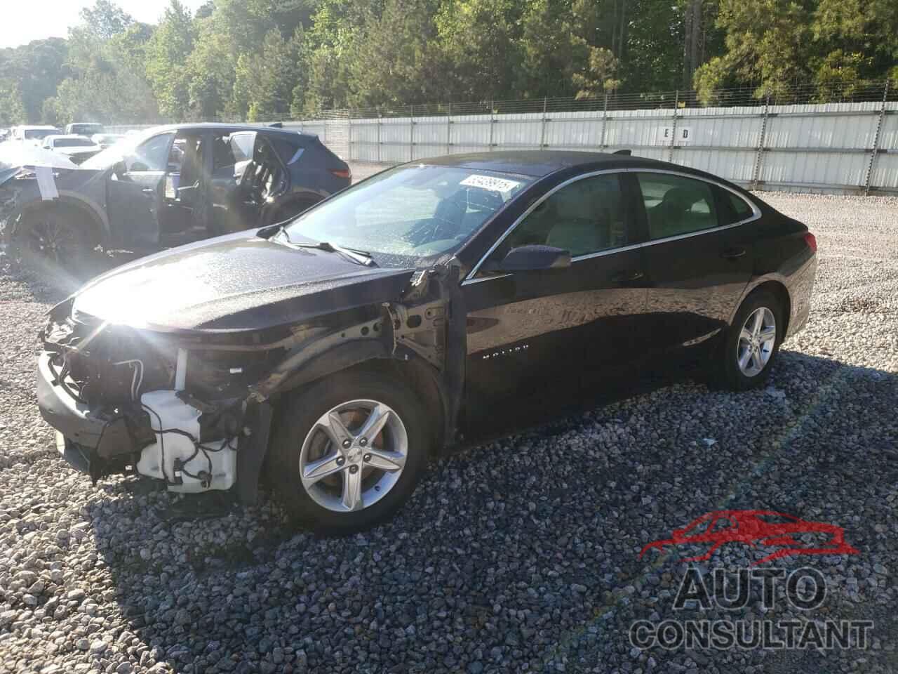 CHEVROLET MALIBU 2020 - 1G1ZC5ST3LF105824