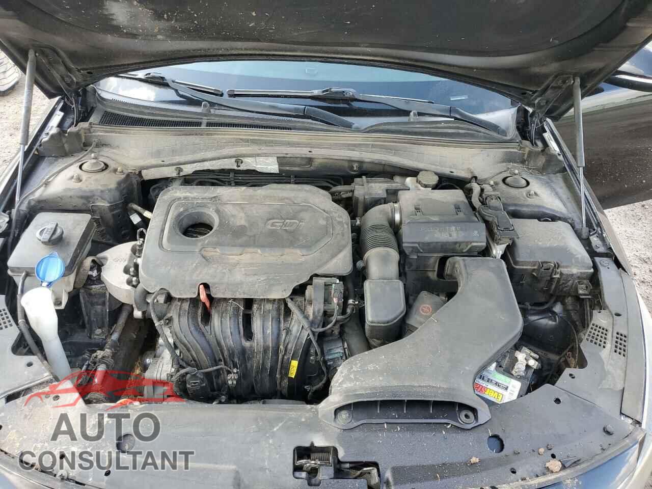 KIA OPTIMA 2019 - 5XXGT4L38KG347323